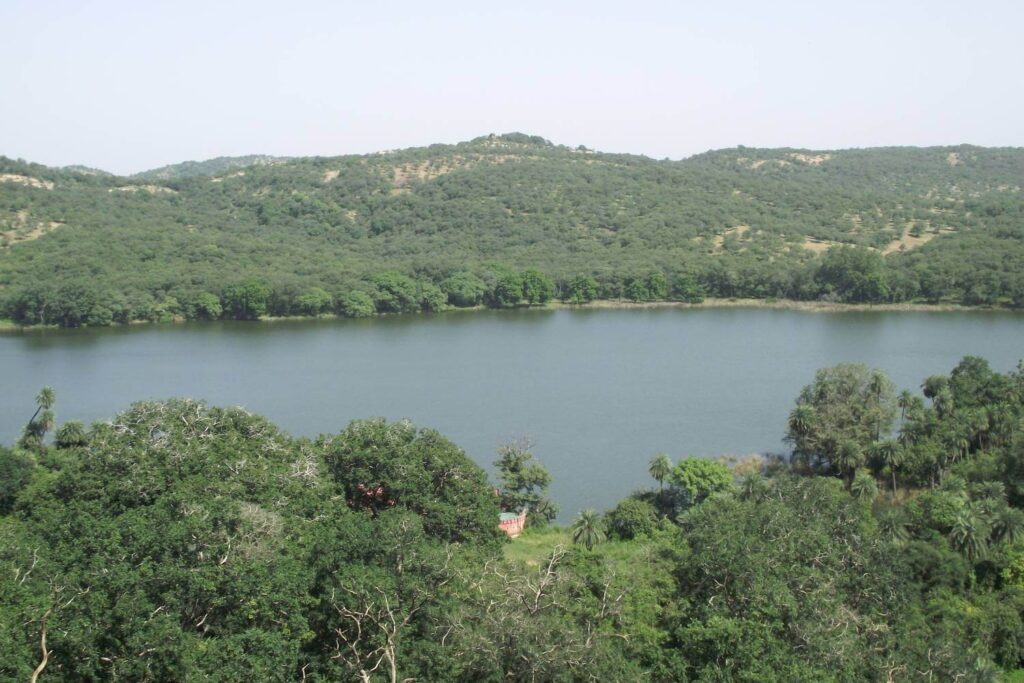 Padam Lake Ranthambore