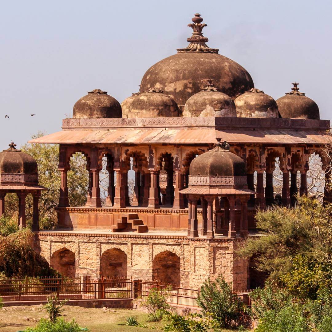 Ranthambore National Park Rajasthan India Ranthambore National Park Rajasthan India