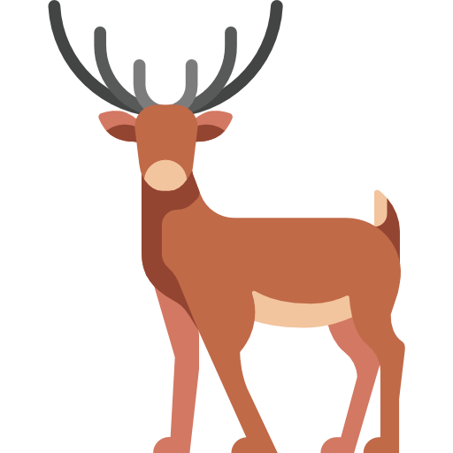 Chinkara